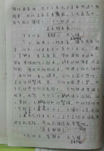 校園的石子小路作文350字
