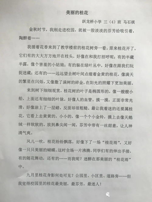 與校園共成長(cháng)的作文