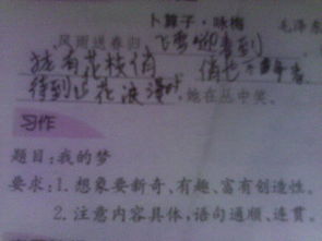 我的夢600字優(yōu)秀作文關于校園