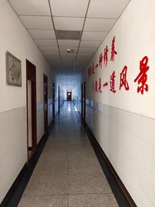 愛(ài)護(hù)環(huán)境共建美麗校園作文