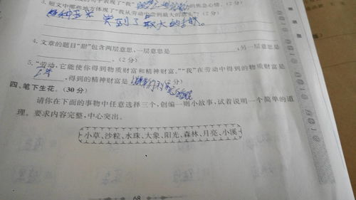 作文,校園里,事情