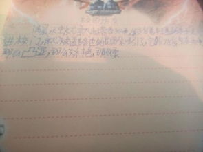 校園訪(fǎng)友作文800字