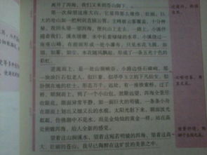 描寫校園春夏秋冬三段式的作文