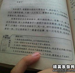 校園觀(guān)察日記400字作文400字左右