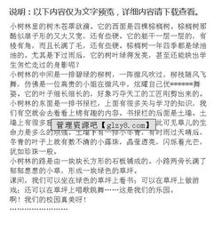 校園一角作文600字初二寫(xiě)景,校園一角操場(chǎng)作文600字初二,校園一角作文500字初二