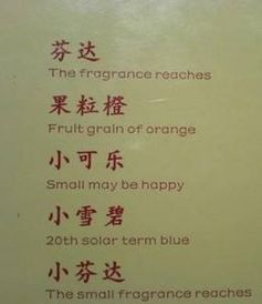 有趣的校園活動(dòng)作文300字,有趣的校園活動(dòng)作文500字,有趣的校園集體活動(dòng)作文