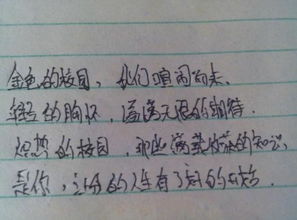 歌頌校園詩歌小學作文
