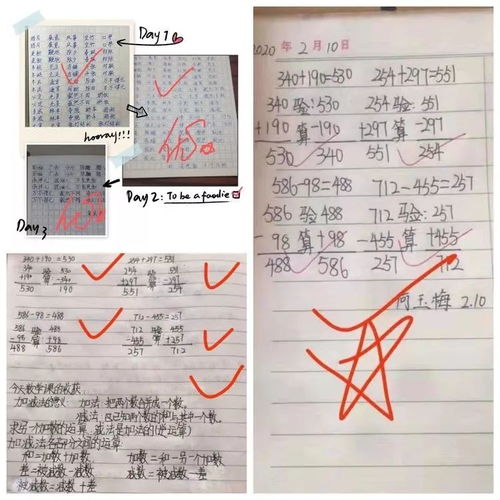 寫(xiě)安陽(yáng)第一實(shí)驗小學(xué)校園的作文