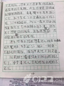 我愛,海南,作文,小學
