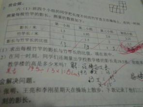 作文,教學(xué)樓,校園,遠到近