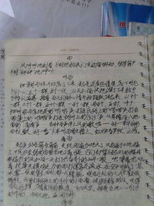 作文,四級,游記,校園