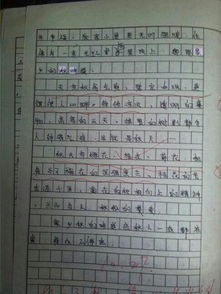 寫一個作文寫學(xué)校校園