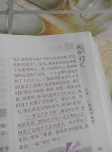 校園春夏秋冬寫(xiě)景作文150字左右