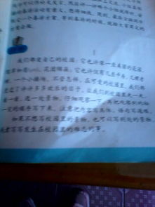 作文,景物,描寫(xiě),字左右