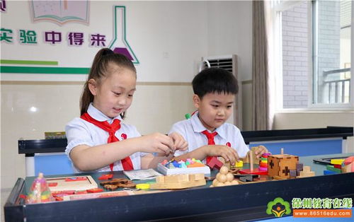 少華街小學我的校園作文