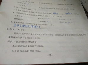 作文,樂(lè )園,校園