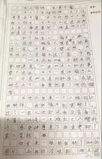 校園調查作文怎么寫(xiě)