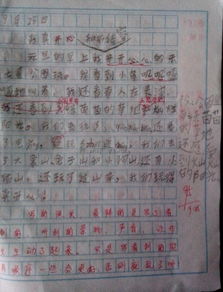 描寫(xiě)實(shí)驗小學(xué)校園作文