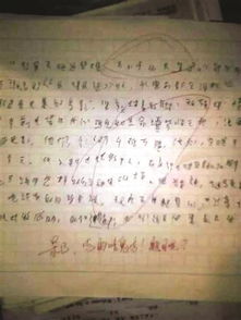 幾年后的校園作文,幾年后的學(xué)校作文,幾年后的家鄉作文