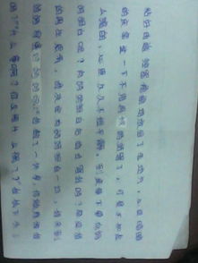 校園的新鮮事作文200字作文