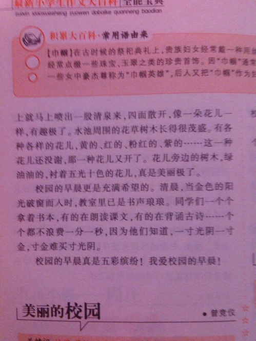 寫(xiě)一篇作文我的校園350個(gè)字