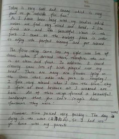 描述校園有缺點(diǎn)的英語(yǔ)作文及翻譯