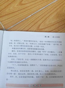 校園里感動的一件事500字作文大全