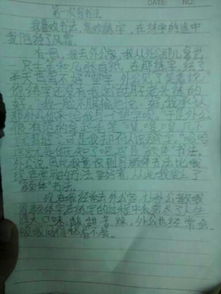 雪中校園之美作文六百字作文