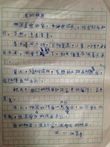 四級描寫我的校園的作文