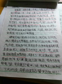 作文,校園里,活動(dòng),快樂(lè )