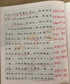 作文,評(píng)語(yǔ),校園