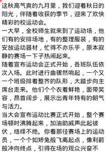 運動(dòng)會(huì ),寫(xiě)一篇,校園,百字