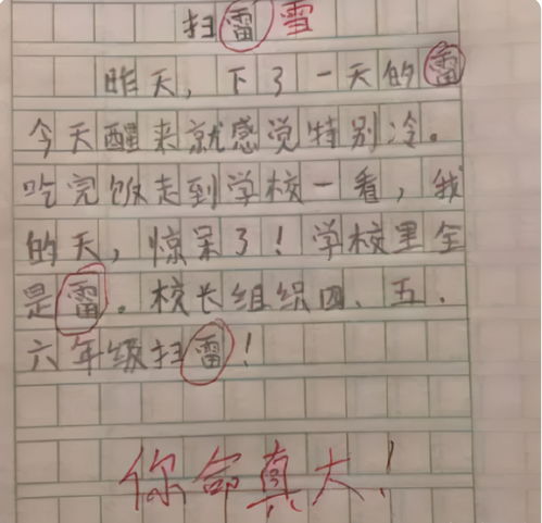 小學(xué)生作文350我的校園