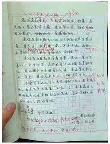 初二作文校園新聞?dòng)袠?biāo)題有背景