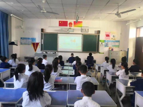 拒絕校園欺凌的班會(huì )主題作文