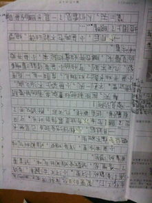 作文,印象,校園