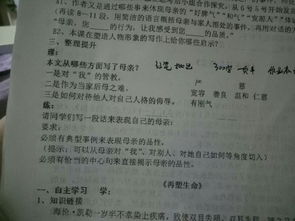 校園的作文300個(gè)字,校園的美作文300字,我們校園的作文300字
