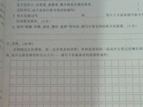 6級(jí)作文校園里的甜