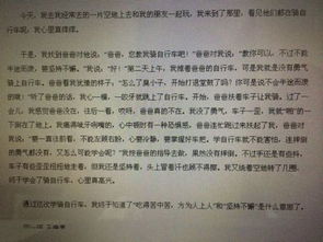 清晨我走進校園作文400