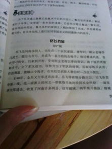 作文,危險,校園