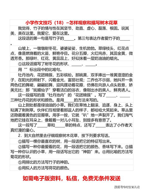描寫(xiě)校園花草樹(shù)木的作文600