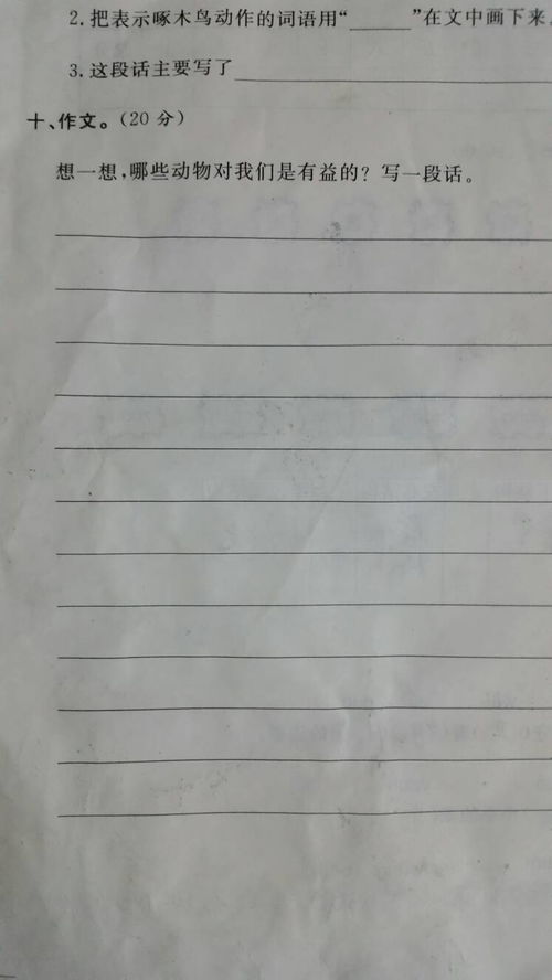 回憶校園作文第一段怎么寫(xiě)