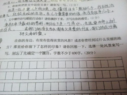寫(xiě)景作文400字我的校園