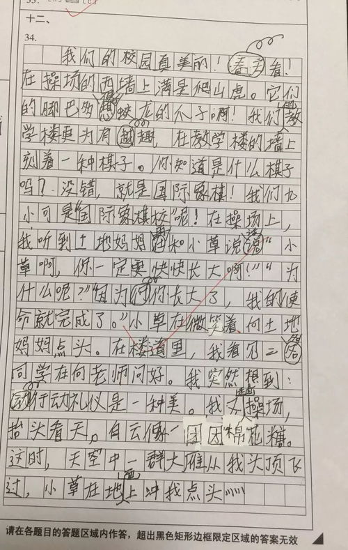 小學(xué)三年級作文我們的校園,我們的校園三年級上冊作文,我們的校園作文300字三年級作文怎么寫(xiě)
