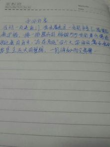 對校園初步印象的作文