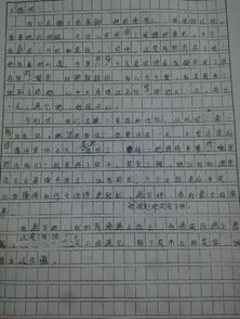 作文,初中,點(diǎn)評,校園