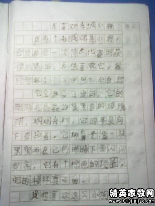 觀(guān)察大學(xué)生校園現象作文