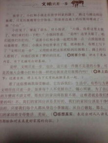 描寫(xiě)校園的作文不少于350字左右