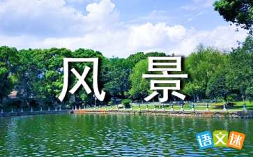 寫校園風景的作文600