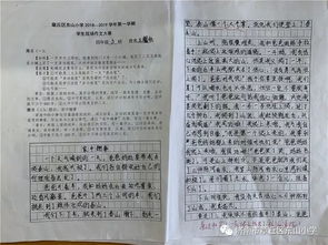最有趣的校園活動(dòng)四級作文500字